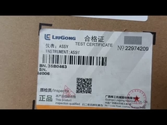 LIUGONG INSTRUMENTE ASSY